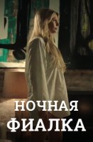 Ночная фиалка