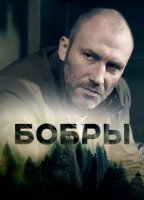Бобры